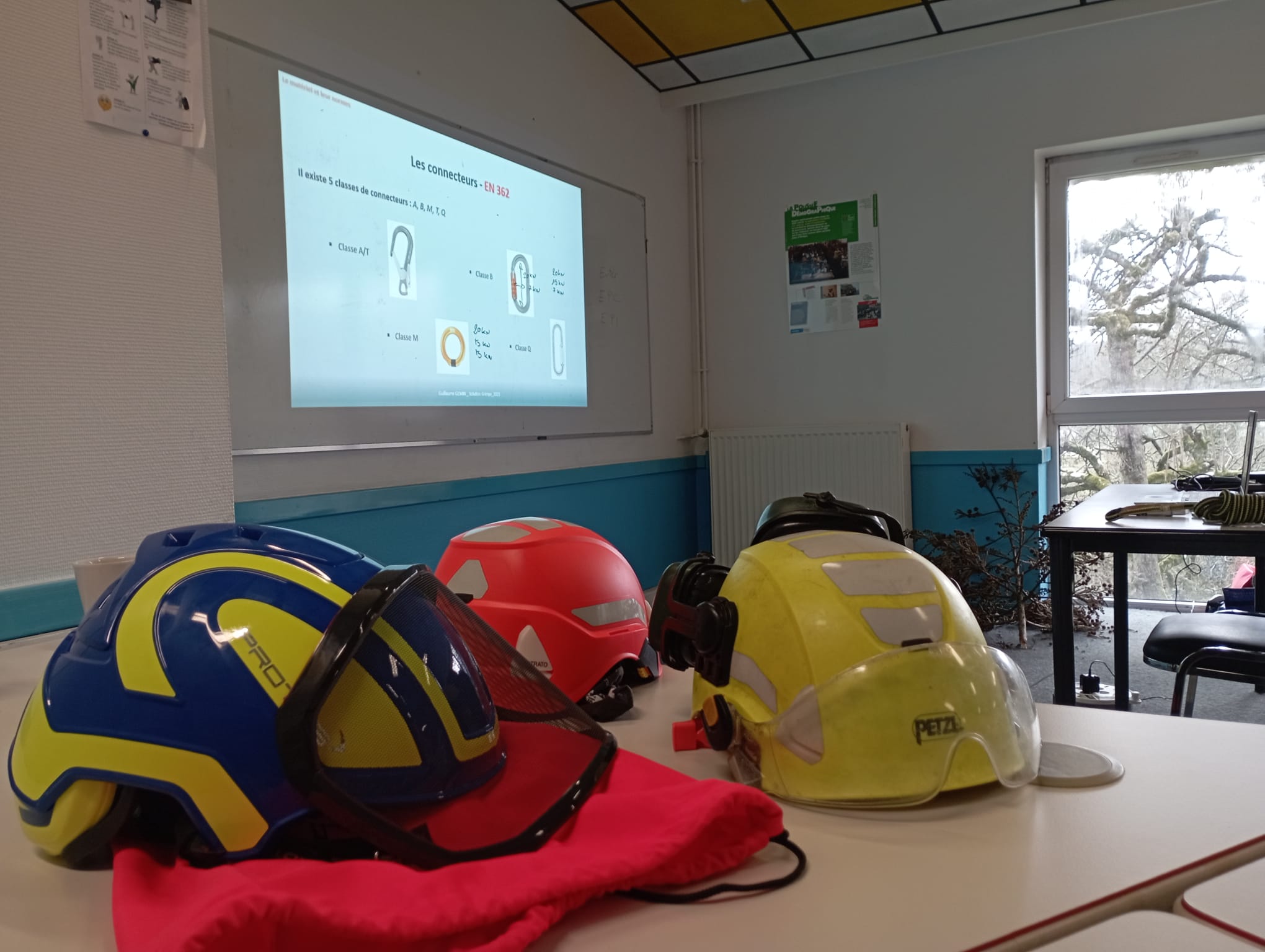 Formation, hauteur, sécurité, spécifique, cordes, sécurisation, secours dans les arbres