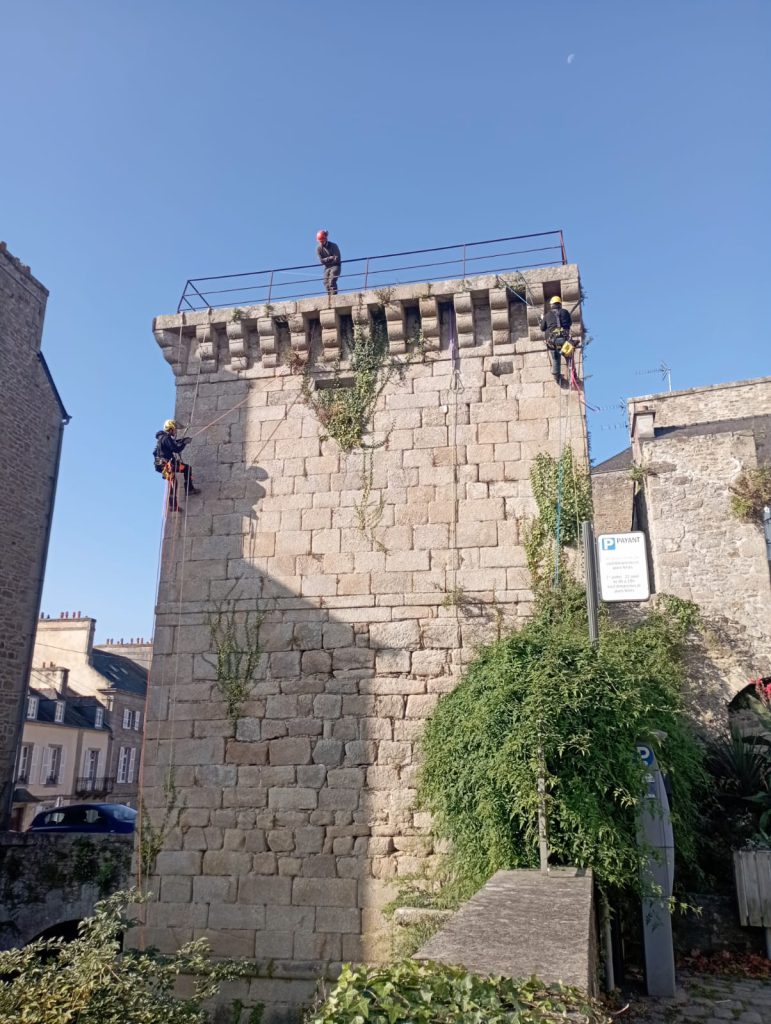 dévégétalisation d'une tour (Dinan, 22) non accessible avec une nacelle.